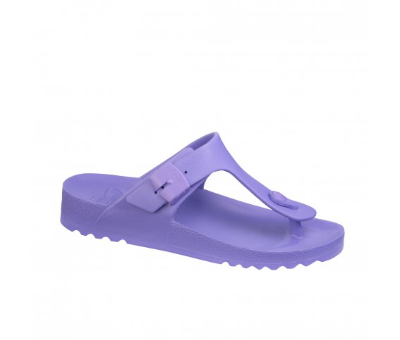 BAHIA PURPLE JAPANKE