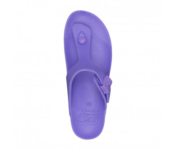 BAHIA PURPLE JAPANKE