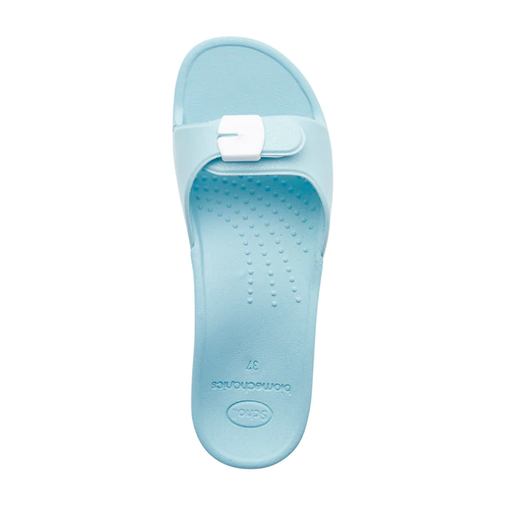 SCHOLL SUN PLAVE