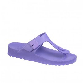 BAHIA PURPLE JAPANKE